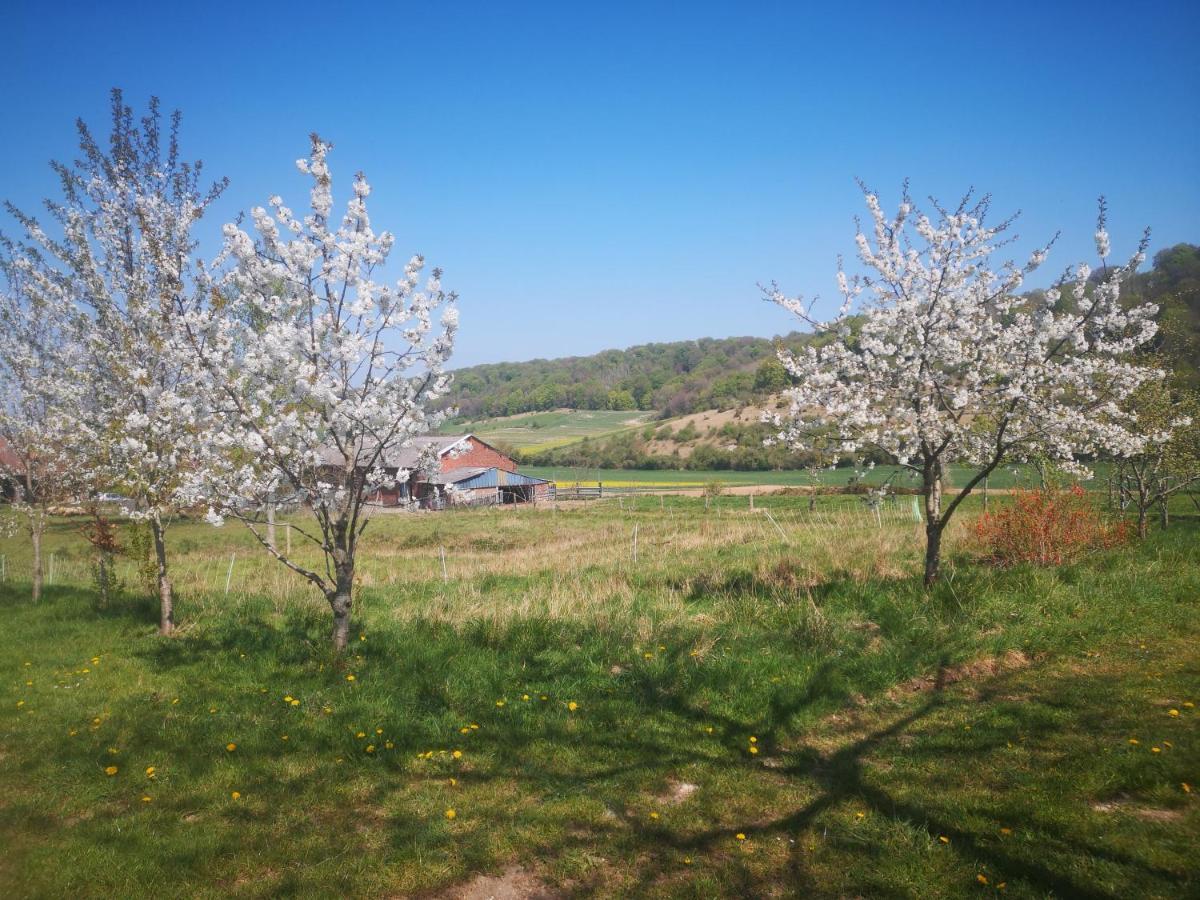 Nature Monchy Campneuseville Extérieur photo